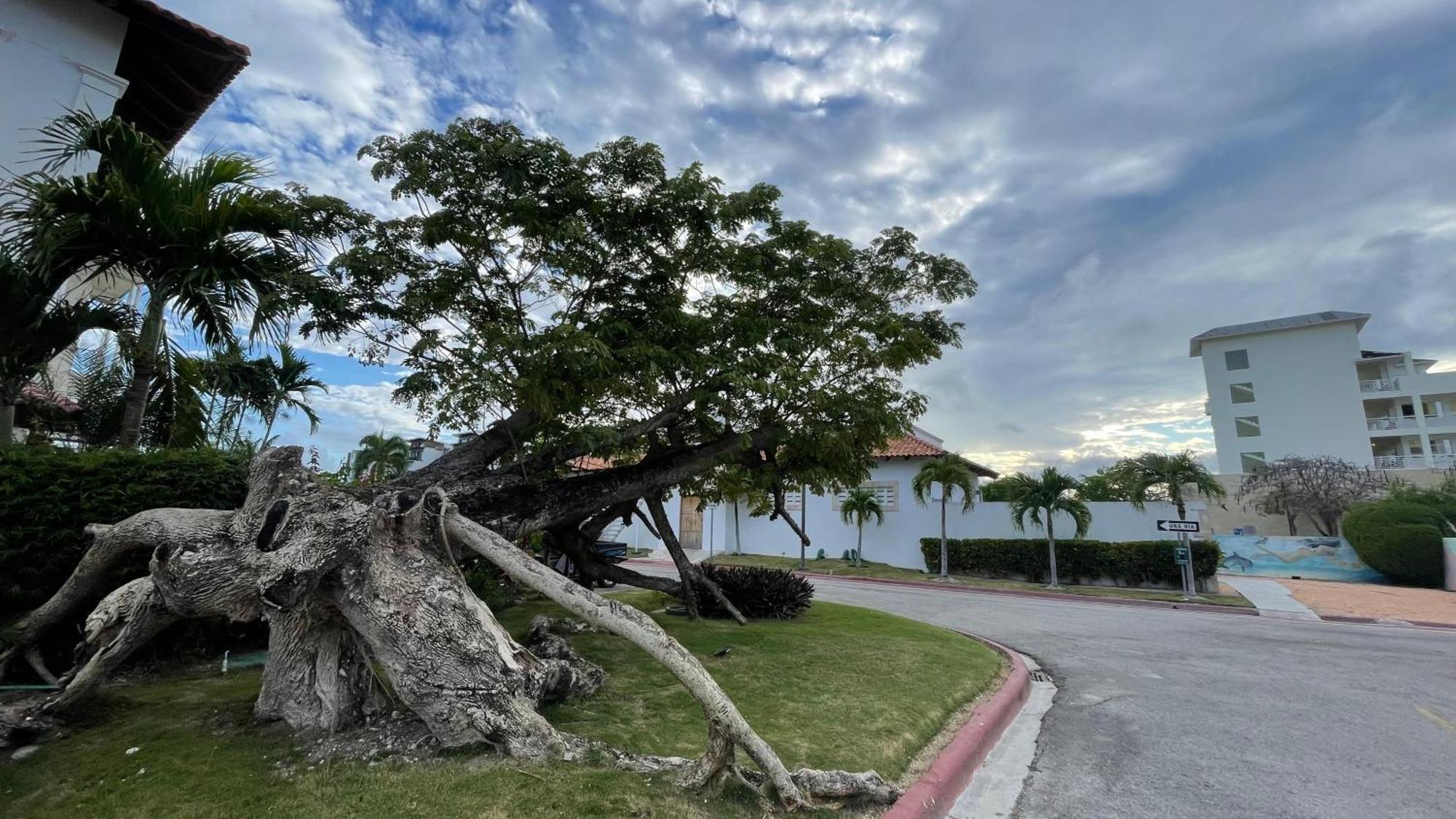 Acogerdo Y Tranquilo En Cap Cana Apartment Punta Cana
